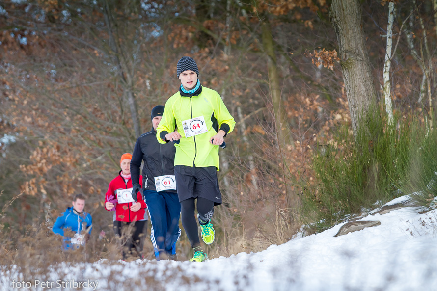 Fotografie číslo: 20170115-9719