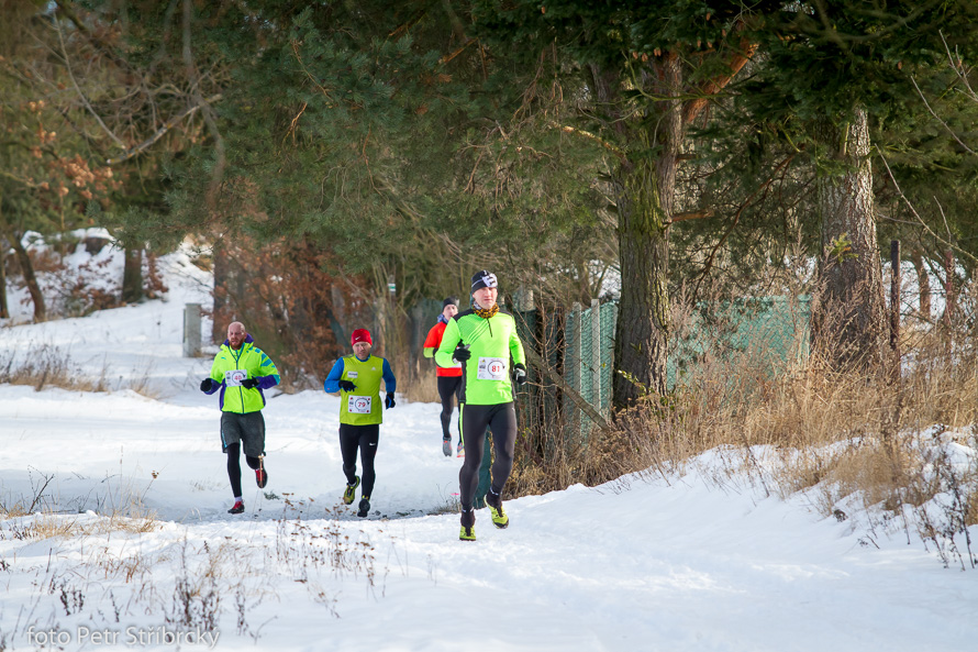 Fotografie číslo: 20170115-9583