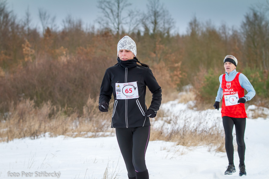 Fotografie číslo: 20170115-9652