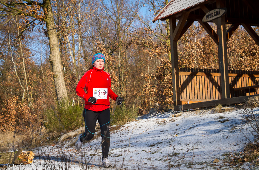 Fotografie číslo: 20160117-3181