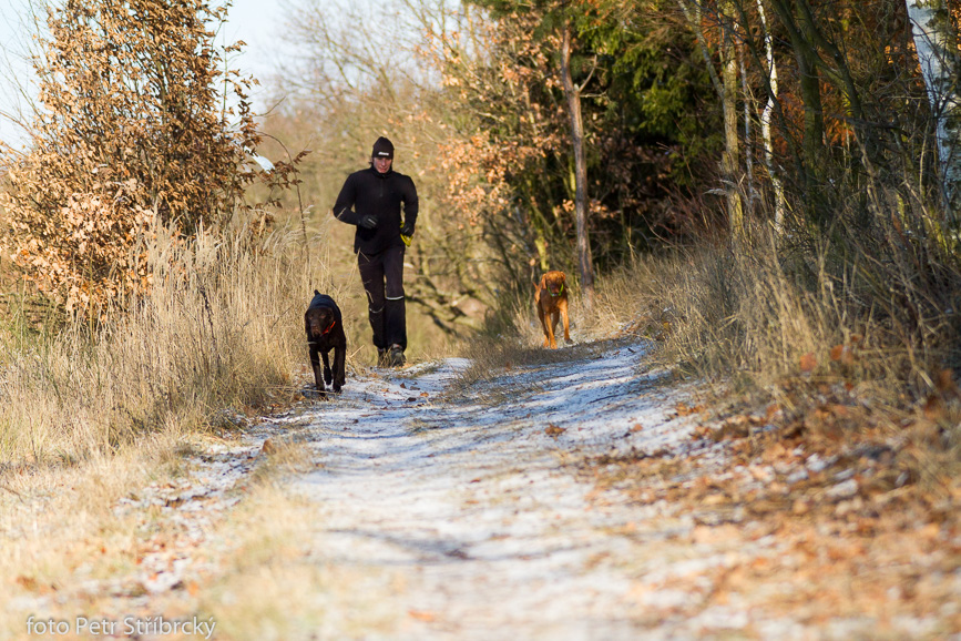 Fotografie číslo: 20160117-3213