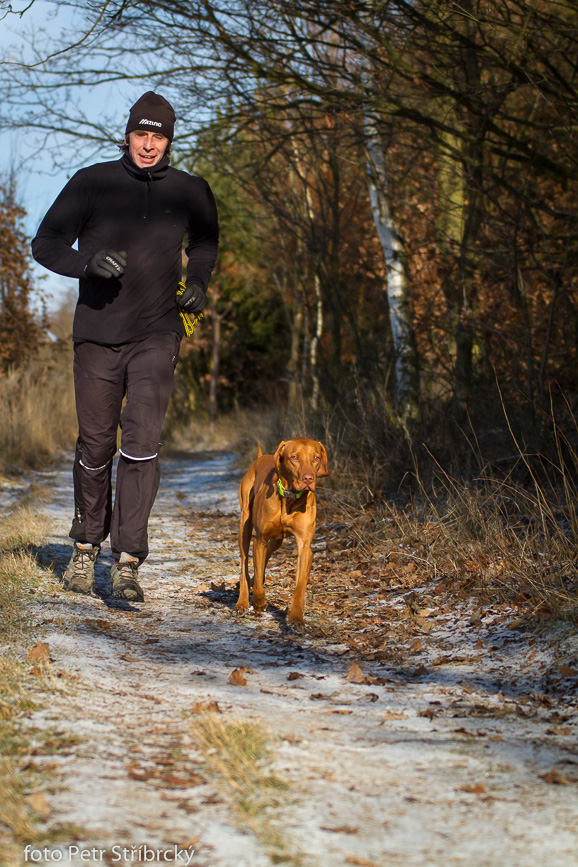 Fotografie číslo: 20160117-3218