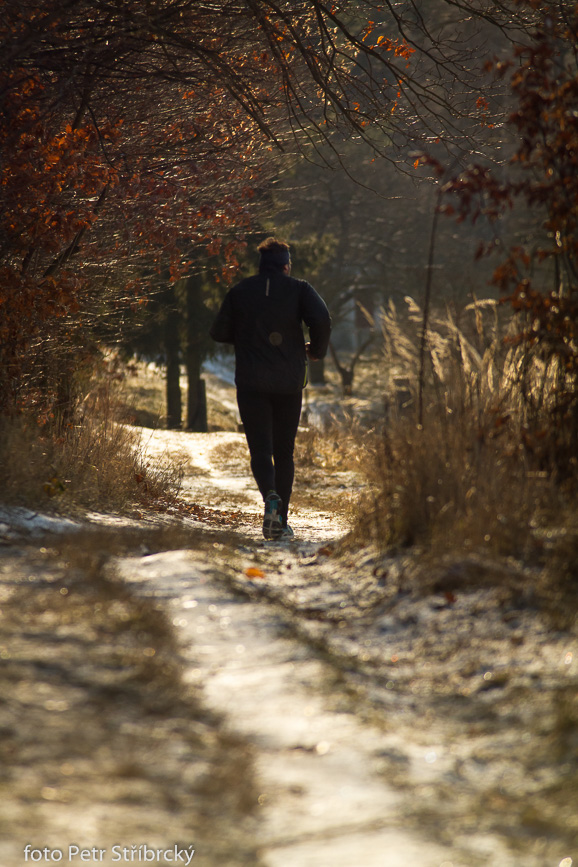 Fotografie číslo: 20160117-3227