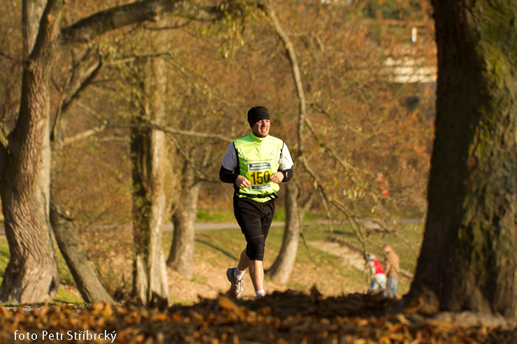 Fotografie číslo: 20111112-5105