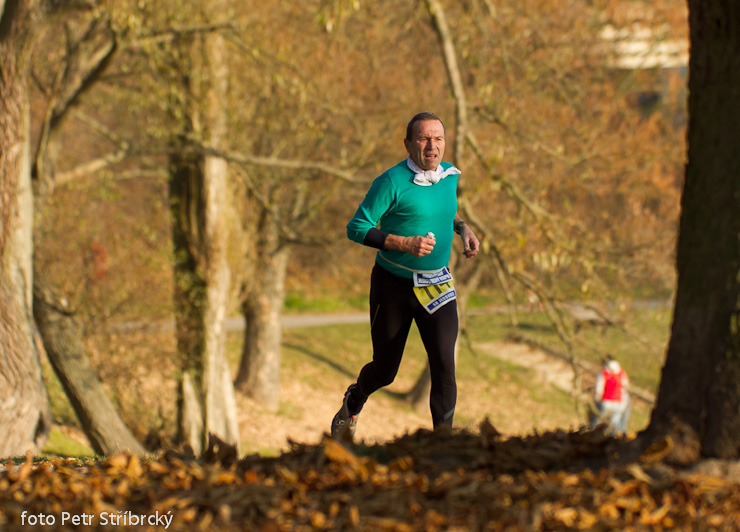 Fotografie číslo: 20111112-5108