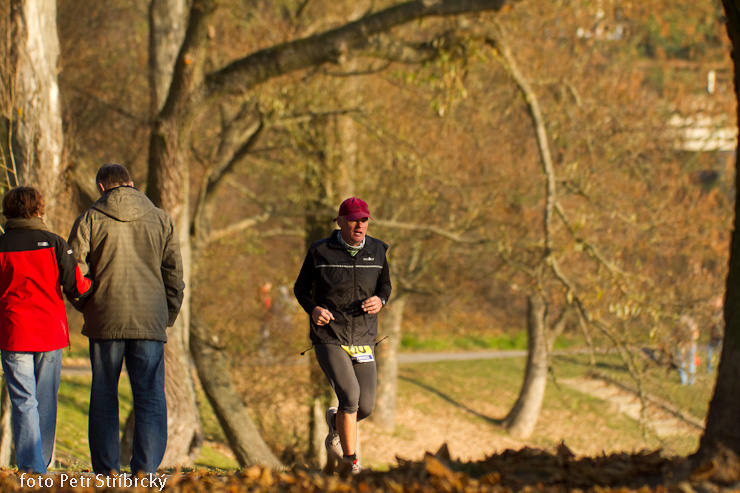 Fotografie číslo: 20111112-5138