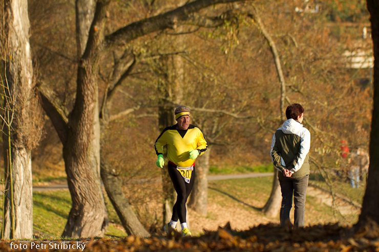 Fotografie číslo: 20111112-5148