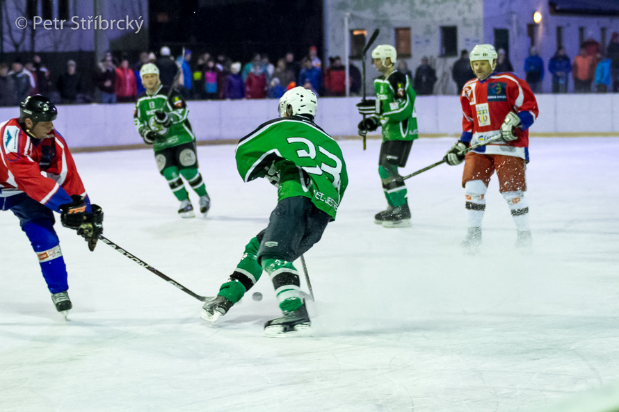 Fotografie číslo: 20160121-3731