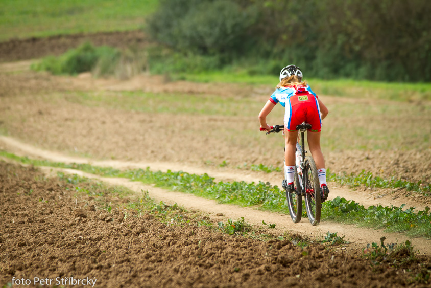 Fotografie číslo: 20140920-7232